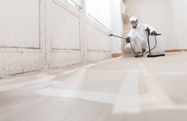24/7 Emergency Crawl Space Mold Removal experts in Denton, NC