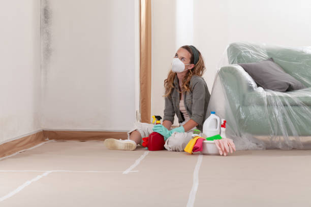 Reliable Mold Remediation contractor in Denton, NC by Cheap Mold Removal